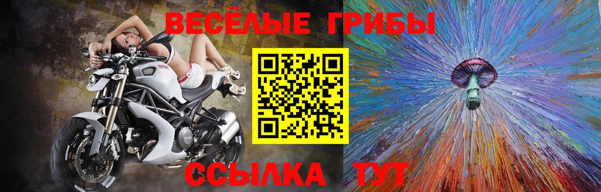 Славянск-на-Кубани  Псилоцибиновые грибы мицелий  Вход с VPN 